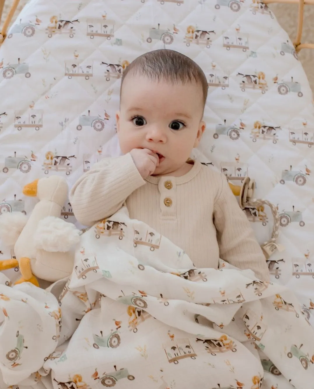 Bambella Designs Bamboo Cotton Muslin Swaddle Wrap - Oakwood Farm